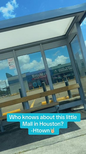 Discover Houston's Hidden Gem: A Unique Little Mall