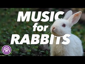 Music for Rabbits | SUPER SOOTHING Relaxation Music | Cute Bunny Videos 🐰