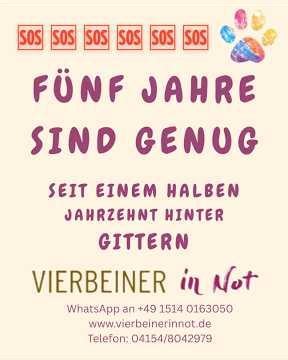Unsere Ultralangsitzer wollen RAUS! #zuhausegesucht #pflegestellegesucht