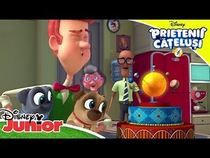 🎂 Dorința lui Bob | Prietenii Cățeluși | Disney Junior România