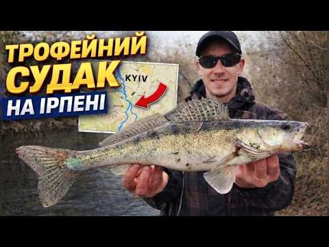 Рибалка на р. ІРПІНЬ.✅ ЦЕЙ СУДАК ЛЕДЬ НЕ ЗАБРАВ ВУДКУ! 😤