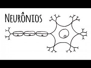 WHAT IS A NEURON?