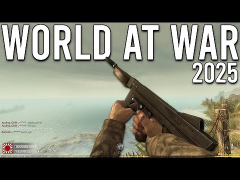 Call of Duty World at War Multiplayer in 2025