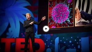 2019年人気のTedトーク・ベスト10 | Hep Hep!