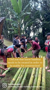 270K views · 4.3K reactions | Do bamboo buildings last? 樂 Don’t they disintegrate after a few years? YES! Only if you don’t treat your bamboo! & We’re sharing a step-by-step guide on how to treat your own bamboo: https://bamboou.com/diy-bamboo-treatment-a-step-by-step-guide/ | Bamboo U | Facebook