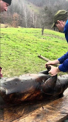 Hardworking people 🙌 Hovrea Alin #romania