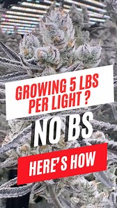 5.9K views · 79 reactions | Want to pull 5+ lbs per light? It’s...