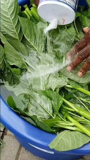 How to cook Callaloo 101.🇯🇲