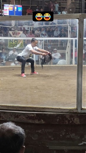 1.6K views · 50 reactions | NAnalo payong tumatakbo takbo hahahh #manok #derby #highlightseveryonefollowers2025highlightseveryonefollowers2025 | Lu Cas | Facebook