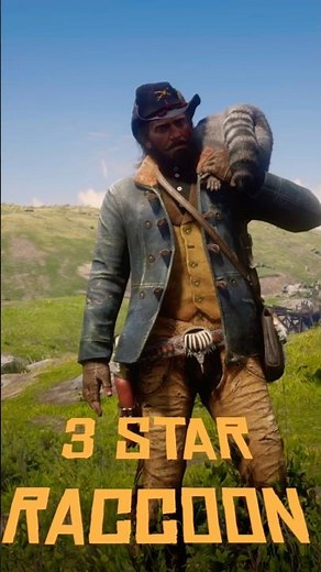 EASY PERFECT PELTS! 🦝 3-Star Raccoon Location in RDR2 #shorts