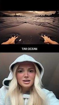 which ocean would you swim in for 1 MILLION DOLLARS?! #xyzbca #viral #shorts #fyp creator: a1smr6