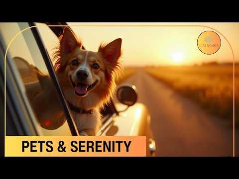 Stunning Pets in 4K — Relaxing Cinematic Compilation | Cozy, Calming, Beautiful