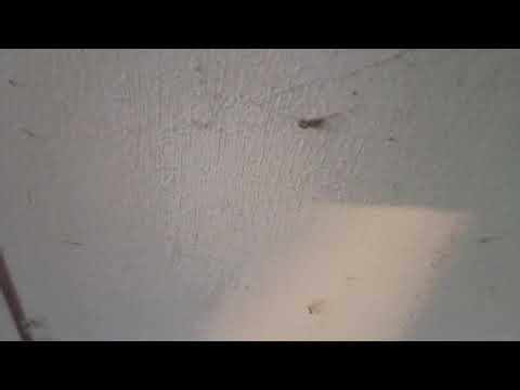 How to improve your spectrum Internet speeds