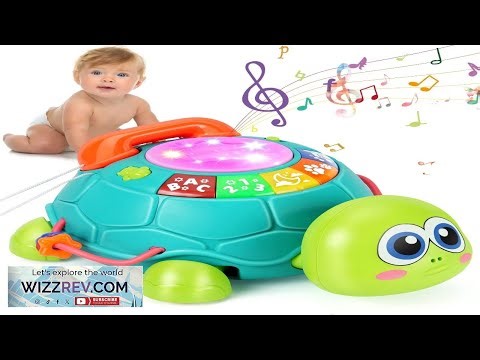 Musical Turtle Baby Toys 6 to 12 Months Infant Light up Music