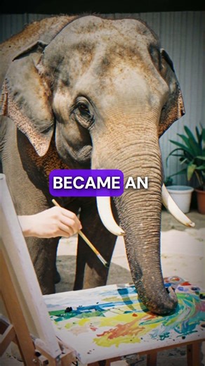 Zoo Animals With Secret Hidden Talents That Will Blow Your Mind!