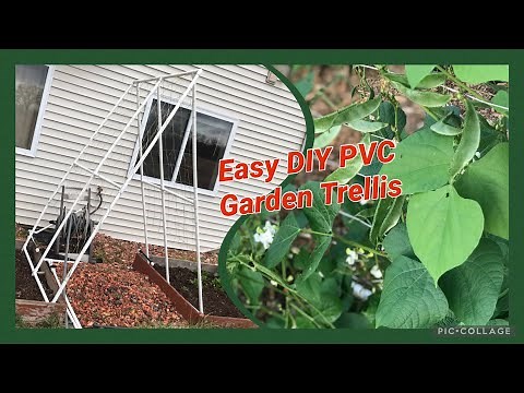 DIY Quick, Easy, Sturdy and Inexpensive PVC Pipe Trellis for Vines HHML