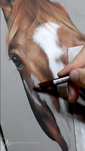 Jerache, cheval alezan aux pastels par Marion Tubiana