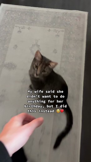 Oh wow! She has some CRAZY plans for us! 😂 backstory ::: Kay said that she didn’t want to do anything for her birthday because I had been sick! She said that she just wanted to relax so that I could feel better. 🥹 I didn’t want to just skip over her birthday, because we only get to do this another 50 times or so! 😅 So I told her to stay in the room for a few minutes, got some little decorations set up, and all of the girls got dressed up for her birthday surprise! ❤️ After setting up, i got h