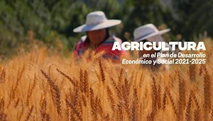 Agricultura boliviana: Planes, programas, estrategias y aspiraciones pomposas