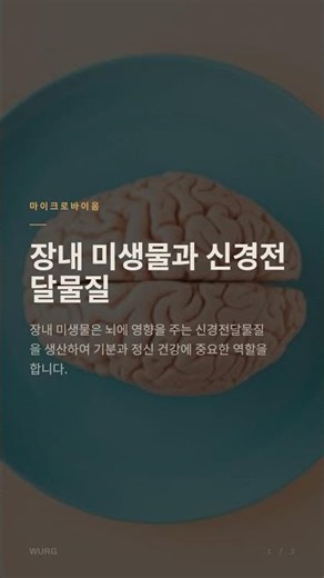 장내 미생물이 기분에 미치는 놀라운 신경화학적 영향