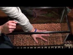 Emperor Scorpion Enclosure Tutorial (part#1)