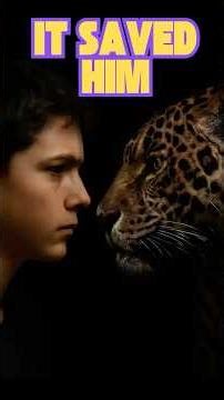 The boy who couldn't speak learned to speak for jaguars. 🤯 #Shorts