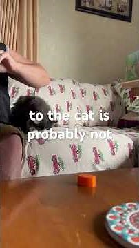 Easy Instructions for Using an Inhaler With Your Cat (Non-Veterinary Demonstration See Disclaimer)