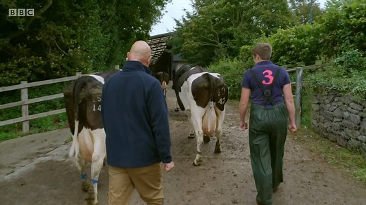 Inside the Factory, Series 6, Yogurt