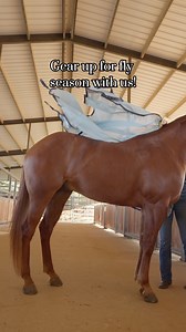 6.6K views · 48 reactions | 'Tis the season!練 This #TherapyThursday we're bringing you the Theramic Fly Sheet and and Neck Cover, the perfect combination to make this the most comfortable summer yet for your horse. : profchoice.com/c-1179851-western-fly-protection.html #ProfessionalsChoice #ProfChoice #Rodeo #BarrelRacing #RodeoSeason #EquineEssentials #BarnHacks #HorseTraining #HorseCare #Equestrian #FlySeason #Roping #TherapyThursday | Professional's Choice | Facebook