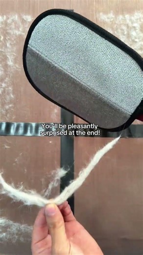 Product link in bio ✅ Who is the best pet hair cleaner in 2026?