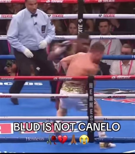 #caneloalvarez🇲🇽 #funnyy #nyc#boxers | canelo alvarez