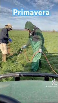 Se acabó el invierno #tranding #2026 #farming #agricultura #oregon