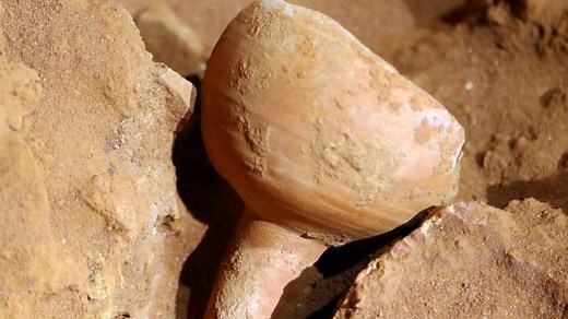 Archaeologists discover 12 skeletons at a buried tomb in Petra, Jordan