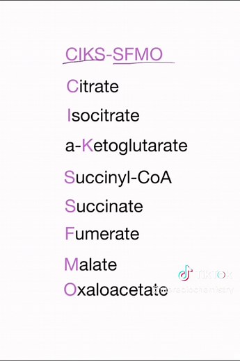 Citric Acid Cycle Made Easy #biochemistry #science #STEM #physiology #biology #college #premed #mcatprep #chemistry #organicchemistry #exam #finals #cell #nursingstudent