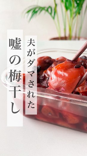 ばあばの仕事•農家主婦の体に優しいレシピ on Instagram: "10分煮るだけ！嘘の梅干し シロップの残がいでうめ煮 青梅も完熟梅もOK カットした梅でもOK ジャムにするより使い道は豊富 材料全部鍋に入れるだけです！ 完成後に 赤しそ(もみしそ)を入れると 甘〜い梅干し風になりますが 味はかつお梅煮です 甘味があるのでご承知おき下さい 梅の甘味とダシの旨味がマッチ やみつきになる味わいです おつまみや副菜になります ■材料 シロップ残り梅 500g 水 300〜400ml 白だし 大2 醤油 大3(約50ml) 塩 小1〜2(お好みで調整) ☝🏻分量は目安です。調味料はお好みの量でかまいません。梅自体は甘いので、塩味を強くしてもよいですね。私は塩気の強い市販のもみしそ入れたので、上記の分量でちょうど良かったです。 ☝🏻水の量は、梅の形を残したい場合は多めに入れます(動かさないで煮る為)、煮崩れてもよいなら少なくてよいです。 ■作り方 ①鍋に材料全部入れて火をつける。中火で梅の味が出るまでじっくり煮る（約10分程度）。あれば落しぶたをした方が味が染み込みます。 ②煮た梅