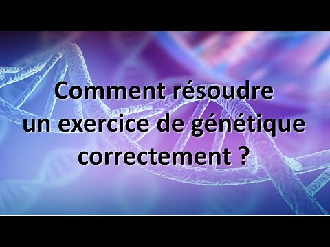 [eSVT] How to solve a genetics exercise correctly?