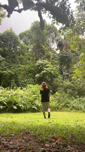 Daintree QLD . . . . #nature #qld #daintree #rainforest #wetseason #trending #capetribulation #cairns