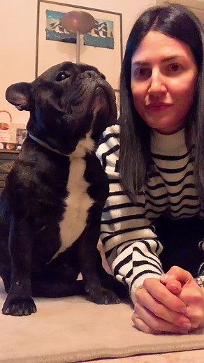 #fyp #fy #kissdog #weusciamo #dog #frenchbulldog