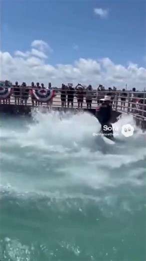 shark rodeo🦈-(exotic sports or route 67) #funny #comedyfilms