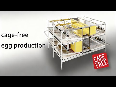 Commercial Multi Tier Aviary Systems