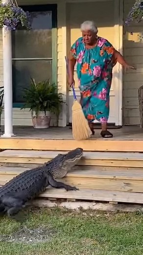 Granny versus gator! #grandma #granny #gator #soraai #ai #fenamterra | Jess Jaron