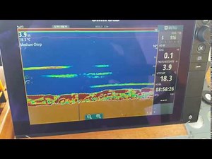 Airmar Transducer SS175M