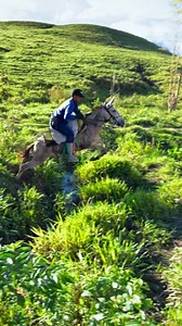 historia del mular☺️⛰🏕 | El hijo del llano