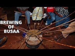 The Real Process of Making Busaa in the Luhya Community