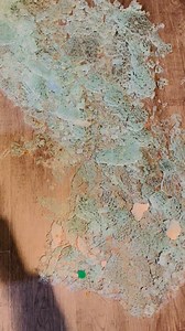 484 reactions · 235 comments | Malodza ndaona ine  | Caroline Ntholowa | Facebook