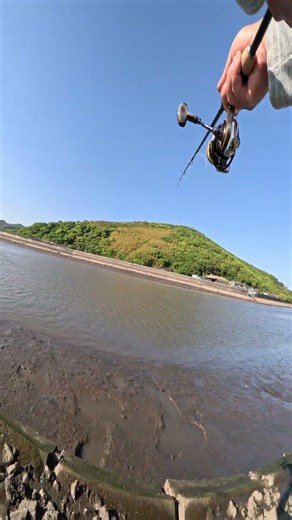 【異次元の癒し】ダムのほとりで静かに釣りを楽しむ🌞✨川辺で広がる自然の美