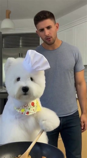doki：Don't disturb me while I'm cooking.#ai #dog #interesting #cook