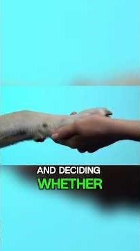 What It Means When Dogs Wag Their Tail to the Left | Dog Facts