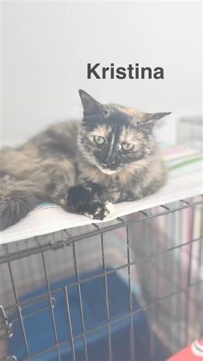 30 reactions · 3 comments | Meet Kristina with a K — a gorgeous...