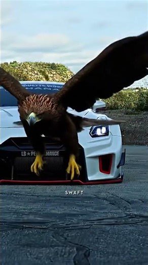 Its eagle time #cricket #lifeisbutadream